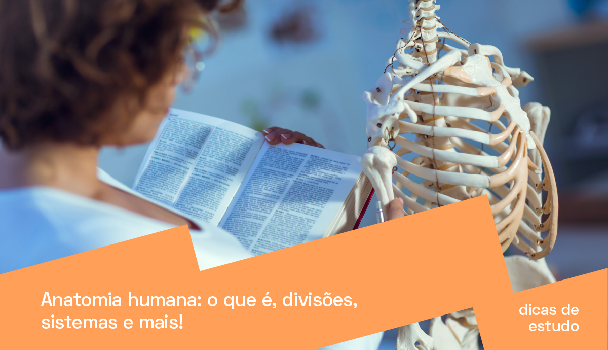 Anatomia Humana Da Boca, Boca Aberta Com Explicação Ilustração do
