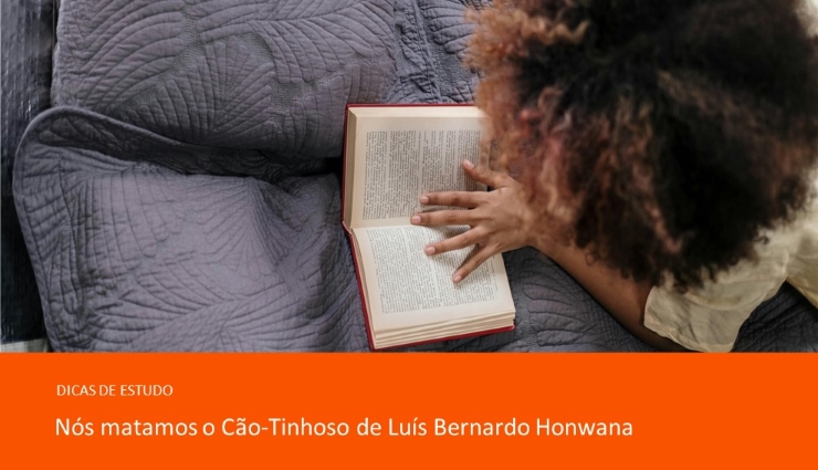 Conheça a obra de Luís Bernardo Honwana: Nós matamos o cão tinhoso!